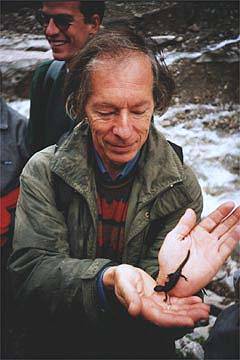 Werner erkl&auml;rt die Eigenarten des Alpensalamanders