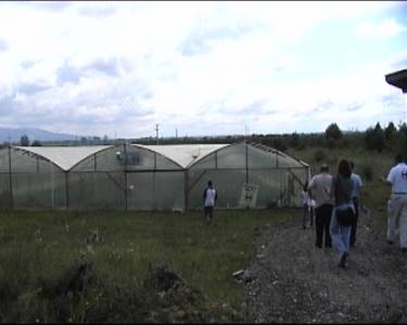 Gew&auml;chshaus in Prijedor