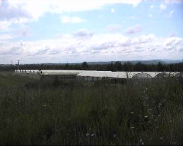 Gew&auml;chshaus in Prijedor