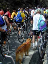 Expedition Gro&szlig;glockner