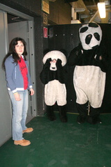 IMG 3819