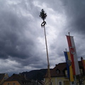 DSC001
