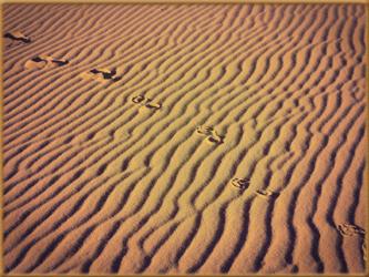 .. nicht nur im Sand bleiben Spuren, auch in Dir..
