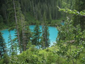 Es gibt sie wirklich - die zwei geheimnisvollen Siegelseen im Schwarzwassertal mit ihrer smaragdgr&uuml;nen Farbe