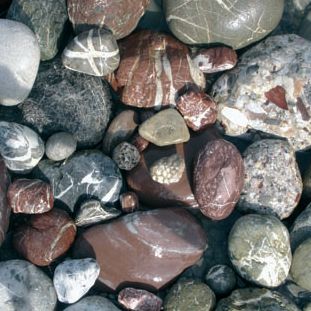 Lechkiesel erz&auml;hlen eine geologische Heimatgeschichte