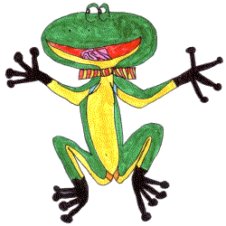 Der Breitmaulfrosch