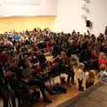 IMG 4785