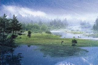 Auch mitten im Auwald h&auml;lt gelegentliches Hochwasser gro&szlig;e Fl&auml;chen frei, die dann ein Refugium f&uuml;r seltene Tier- und Pflanzenarten darstellen!