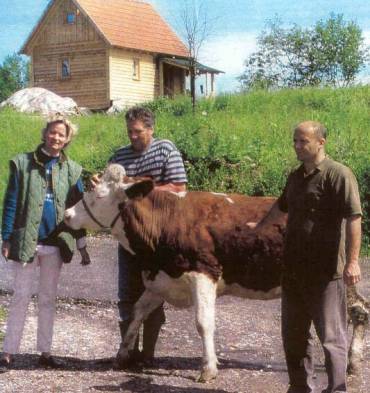 Ein Holzhaus und eine Kuh von BhB